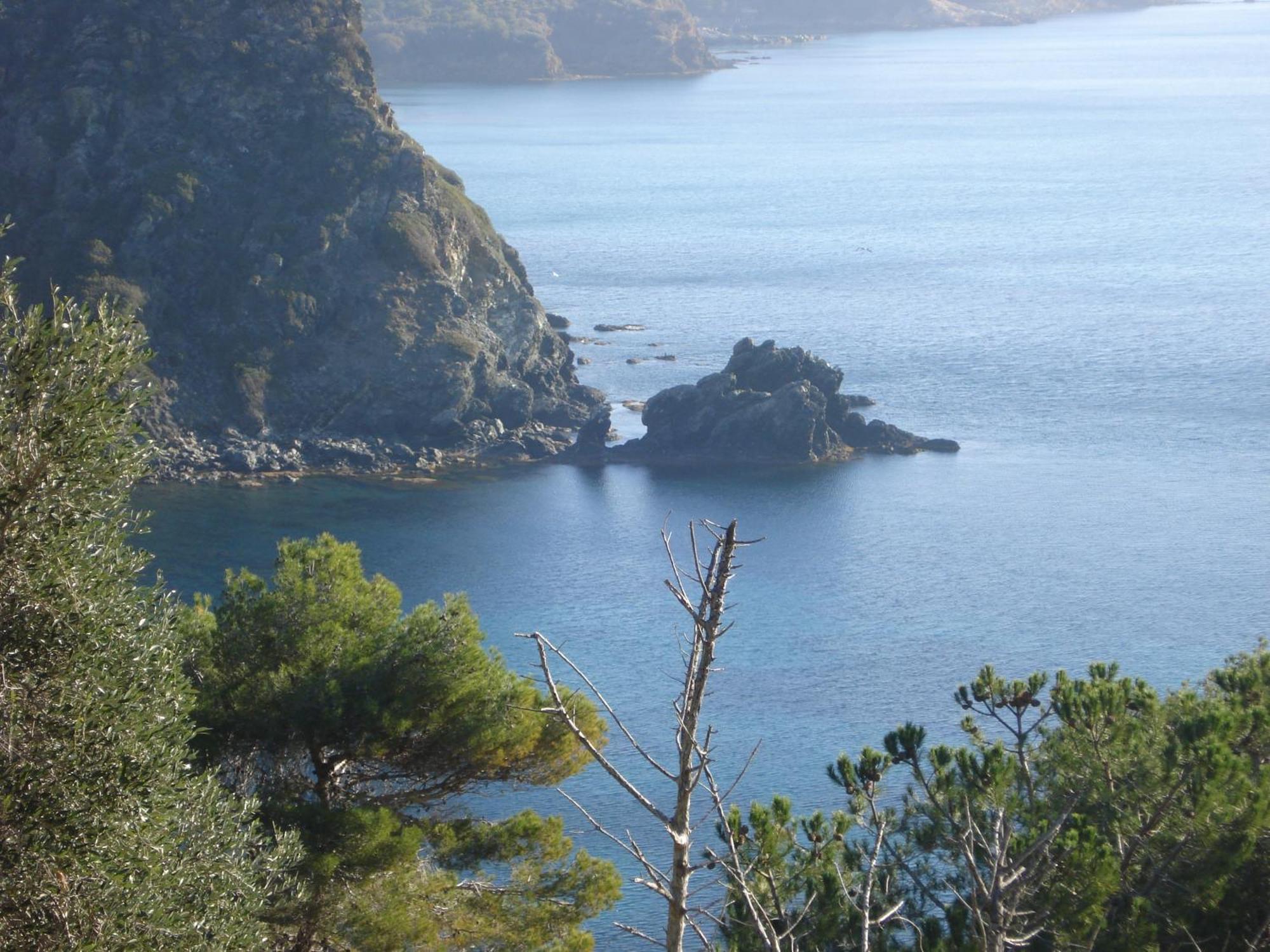 Villasoledad Appartamenti Per Vacanze Capoliveri  Exteriör bild